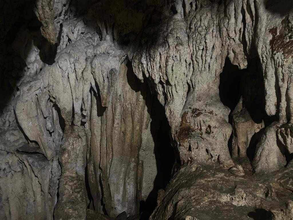 Casakeja Inn بنغلاو المظهر الخارجي الصورة