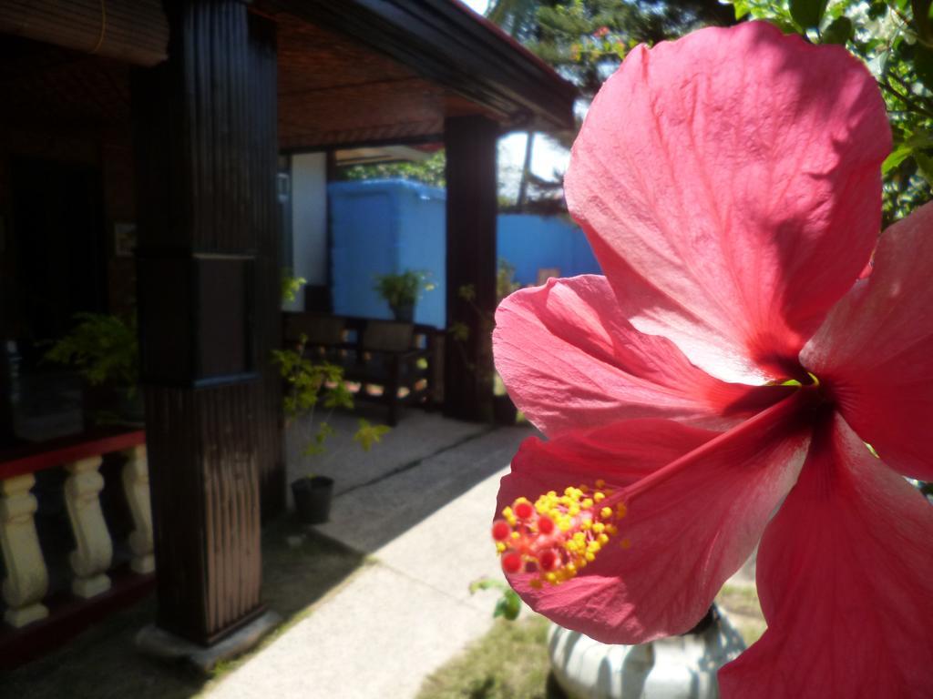 Casakeja Inn بنغلاو المظهر الخارجي الصورة